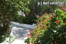 [P7x] accesul catre bungalouri se face , strabatand o gradina inecata de flori » foto by Cristian_h*
 - 
<span class="allrVoted glyphicon glyphicon-heart hidden" id="av5945"></span>
<a class="m-l-10 hidden" id="sv5945" onclick="voting_Foto_DelVot(,5945,1750)" role="button">șterge vot <span class="glyphicon glyphicon-remove"></span></a>
<a id="v95945" class=" c-red"  onclick="voting_Foto_SetVot(5945)" role="button"><span class="glyphicon glyphicon-heart-empty"></span> <b>LIKE</b> = Votează poza</a> <img class="hidden"  id="f5945W9" src="/imagini/loader.gif" border="0" /><span class="AjErrMes hidden" id="e5945ErM"></span>