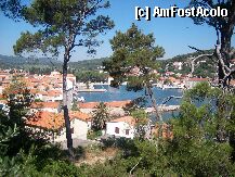 [P02] Vedere din Jelsa, insula Hvar.Portul orasului. » foto by velker tiberiu
 - 
<span class="allrVoted glyphicon glyphicon-heart hidden" id="av7684"></span>
<a class="m-l-10 hidden" id="sv7684" onclick="voting_Foto_DelVot(,7684,2493)" role="button">șterge vot <span class="glyphicon glyphicon-remove"></span></a>
<a id="v97684" class=" c-red"  onclick="voting_Foto_SetVot(7684)" role="button"><span class="glyphicon glyphicon-heart-empty"></span> <b>LIKE</b> = Votează poza</a> <img class="hidden"  id="f7684W9" src="/imagini/loader.gif" border="0" /><span class="AjErrMes hidden" id="e7684ErM"></span>