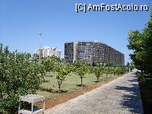 [P11] gradina hotelului » foto by bogdan32
 - 
<span class="allrVoted glyphicon glyphicon-heart hidden" id="av102201"></span>
<a class="m-l-10 hidden" id="sv102201" onclick="voting_Foto_DelVot(,102201,14)" role="button">șterge vot <span class="glyphicon glyphicon-remove"></span></a>
<a id="v9102201" class=" c-red"  onclick="voting_Foto_SetVot(102201)" role="button"><span class="glyphicon glyphicon-heart-empty"></span> <b>LIKE</b> = Votează poza</a> <img class="hidden"  id="f102201W9" src="/imagini/loader.gif" border="0" /><span class="AjErrMes hidden" id="e102201ErM"></span>