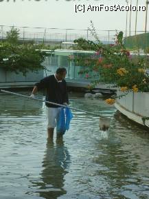 [P12] curatenie desavarsita » foto by bogdan32
 - 
<span class="allrVoted glyphicon glyphicon-heart hidden" id="av102202"></span>
<a class="m-l-10 hidden" id="sv102202" onclick="voting_Foto_DelVot(,102202,14)" role="button">șterge vot <span class="glyphicon glyphicon-remove"></span></a>
<a id="v9102202" class=" c-red"  onclick="voting_Foto_SetVot(102202)" role="button"><span class="glyphicon glyphicon-heart-empty"></span> <b>LIKE</b> = Votează poza</a> <img class="hidden"  id="f102202W9" src="/imagini/loader.gif" border="0" /><span class="AjErrMes hidden" id="e102202ErM"></span>