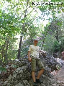 [P24] Tot in munti. » foto by balasa violeta
 - 
<span class="allrVoted glyphicon glyphicon-heart hidden" id="av88132"></span>
<a class="m-l-10 hidden" id="sv88132" onclick="voting_Foto_DelVot(,88132,14)" role="button">șterge vot <span class="glyphicon glyphicon-remove"></span></a>
<a id="v988132" class=" c-red"  onclick="voting_Foto_SetVot(88132)" role="button"><span class="glyphicon glyphicon-heart-empty"></span> <b>LIKE</b> = Votează poza</a> <img class="hidden"  id="f88132W9" src="/imagini/loader.gif" border="0" /><span class="AjErrMes hidden" id="e88132ErM"></span>