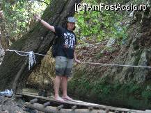 [P31] Usor, nu a fost. » foto by balasa violeta
 - 
<span class="allrVoted glyphicon glyphicon-heart hidden" id="av88144"></span>
<a class="m-l-10 hidden" id="sv88144" onclick="voting_Foto_DelVot(,88144,14)" role="button">șterge vot <span class="glyphicon glyphicon-remove"></span></a>
<a id="v988144" class=" c-red"  onclick="voting_Foto_SetVot(88144)" role="button"><span class="glyphicon glyphicon-heart-empty"></span> <b>LIKE</b> = Votează poza</a> <img class="hidden"  id="f88144W9" src="/imagini/loader.gif" border="0" /><span class="AjErrMes hidden" id="e88144ErM"></span>