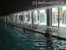 [P37] Piscina interioara, se vede un pic si gradina. » foto by balasa violeta
 - 
<span class="allrVoted glyphicon glyphicon-heart hidden" id="av88150"></span>
<a class="m-l-10 hidden" id="sv88150" onclick="voting_Foto_DelVot(,88150,14)" role="button">șterge vot <span class="glyphicon glyphicon-remove"></span></a>
<a id="v988150" class=" c-red"  onclick="voting_Foto_SetVot(88150)" role="button"><span class="glyphicon glyphicon-heart-empty"></span> <b>LIKE</b> = Votează poza</a> <img class="hidden"  id="f88150W9" src="/imagini/loader.gif" border="0" /><span class="AjErrMes hidden" id="e88150ErM"></span>