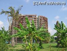 [P42] Un hotel aproape perfect. » foto by balasa violeta
 - 
<span class="allrVoted glyphicon glyphicon-heart hidden" id="av88157"></span>
<a class="m-l-10 hidden" id="sv88157" onclick="voting_Foto_DelVot(,88157,14)" role="button">șterge vot <span class="glyphicon glyphicon-remove"></span></a>
<a id="v988157" class=" c-red"  onclick="voting_Foto_SetVot(88157)" role="button"><span class="glyphicon glyphicon-heart-empty"></span> <b>LIKE</b> = Votează poza</a> <img class="hidden"  id="f88157W9" src="/imagini/loader.gif" border="0" /><span class="AjErrMes hidden" id="e88157ErM"></span>