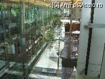 [P08] Multa vegetatie in hotel. » foto by balasa violeta
 - 
<span class="allrVoted glyphicon glyphicon-heart hidden" id="av88096"></span>
<a class="m-l-10 hidden" id="sv88096" onclick="voting_Foto_DelVot(,88096,14)" role="button">șterge vot <span class="glyphicon glyphicon-remove"></span></a>
<a id="v988096" class=" c-red"  onclick="voting_Foto_SetVot(88096)" role="button"><span class="glyphicon glyphicon-heart-empty"></span> <b>LIKE</b> = Votează poza</a> <img class="hidden"  id="f88096W9" src="/imagini/loader.gif" border="0" /><span class="AjErrMes hidden" id="e88096ErM"></span>