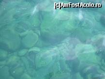 [P02] apa la 7 metri adancime(de pe ponton) » foto by andugolf*
 - 
<span class="allrVoted glyphicon glyphicon-heart hidden" id="av114348"></span>
<a class="m-l-10 hidden" id="sv114348" onclick="voting_Foto_DelVot(,114348,143)" role="button">șterge vot <span class="glyphicon glyphicon-remove"></span></a>
<a id="v9114348" class=" c-red"  onclick="voting_Foto_SetVot(114348)" role="button"><span class="glyphicon glyphicon-heart-empty"></span> <b>LIKE</b> = Votează poza</a> <img class="hidden"  id="f114348W9" src="/imagini/loader.gif" border="0" /><span class="AjErrMes hidden" id="e114348ErM"></span>