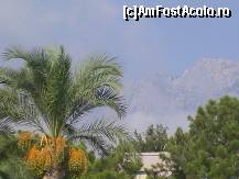 [P05] vedere din gradina hotelului » foto by andugolf*
 - 
<span class="allrVoted glyphicon glyphicon-heart hidden" id="av114351"></span>
<a class="m-l-10 hidden" id="sv114351" onclick="voting_Foto_DelVot(,114351,143)" role="button">șterge vot <span class="glyphicon glyphicon-remove"></span></a>
<a id="v9114351" class=" c-red"  onclick="voting_Foto_SetVot(114351)" role="button"><span class="glyphicon glyphicon-heart-empty"></span> <b>LIKE</b> = Votează poza</a> <img class="hidden"  id="f114351W9" src="/imagini/loader.gif" border="0" /><span class="AjErrMes hidden" id="e114351ErM"></span>