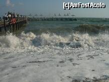 [P05]  -- <small>// FĂRĂ DESCRIERE</small> » foto by miha1974
 - 
<span class="allrVoted glyphicon glyphicon-heart hidden" id="av142886"></span>
<a class="m-l-10 hidden" id="sv142886" onclick="voting_Foto_DelVot(,142886,168)" role="button">șterge vot <span class="glyphicon glyphicon-remove"></span></a>
<a id="v9142886" class=" c-red"  onclick="voting_Foto_SetVot(142886)" role="button"><span class="glyphicon glyphicon-heart-empty"></span> <b>LIKE</b> = Votează poza</a> <img class="hidden"  id="f142886W9" src="/imagini/loader.gif" border="0" /><span class="AjErrMes hidden" id="e142886ErM"></span>