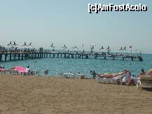 [P07]  -- <small>// FĂRĂ DESCRIERE</small> » foto by miha1974
 - 
<span class="allrVoted glyphicon glyphicon-heart hidden" id="av142891"></span>
<a class="m-l-10 hidden" id="sv142891" onclick="voting_Foto_DelVot(,142891,168)" role="button">șterge vot <span class="glyphicon glyphicon-remove"></span></a>
<a id="v9142891" class=" c-red"  onclick="voting_Foto_SetVot(142891)" role="button"><span class="glyphicon glyphicon-heart-empty"></span> <b>LIKE</b> = Votează poza</a> <img class="hidden"  id="f142891W9" src="/imagini/loader.gif" border="0" /><span class="AjErrMes hidden" id="e142891ErM"></span>