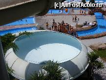 [P09] topoganul meu preferat » foto by radu123
 - 
<span class="allrVoted glyphicon glyphicon-heart hidden" id="av58986"></span>
<a class="m-l-10 hidden" id="sv58986" onclick="voting_Foto_DelVot(,58986,168)" role="button">șterge vot <span class="glyphicon glyphicon-remove"></span></a>
<a id="v958986" class=" c-red"  onclick="voting_Foto_SetVot(58986)" role="button"><span class="glyphicon glyphicon-heart-empty"></span> <b>LIKE</b> = Votează poza</a> <img class="hidden"  id="f58986W9" src="/imagini/loader.gif" border="0" /><span class="AjErrMes hidden" id="e58986ErM"></span>