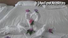 [P17]  -- <small>// FĂRĂ DESCRIERE</small> » foto by patrice
 - 
<span class="allrVoted glyphicon glyphicon-heart hidden" id="av218075"></span>
<a class="m-l-10 hidden" id="sv218075" onclick="voting_Foto_DelVot(,218075,171)" role="button">șterge vot <span class="glyphicon glyphicon-remove"></span></a>
<a id="v9218075" class=" c-red"  onclick="voting_Foto_SetVot(218075)" role="button"><span class="glyphicon glyphicon-heart-empty"></span> <b>LIKE</b> = Votează poza</a> <img class="hidden"  id="f218075W9" src="/imagini/loader.gif" border="0" /><span class="AjErrMes hidden" id="e218075ErM"></span>