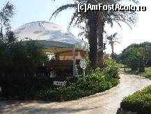 [P17]  -- <small>// FĂRĂ DESCRIERE</small> » foto by dimalexia
 - 
<span class="allrVoted glyphicon glyphicon-heart hidden" id="av94799"></span>
<a class="m-l-10 hidden" id="sv94799" onclick="voting_Foto_DelVot(,94799,171)" role="button">șterge vot <span class="glyphicon glyphicon-remove"></span></a>
<a id="v994799" class=" c-red"  onclick="voting_Foto_SetVot(94799)" role="button"><span class="glyphicon glyphicon-heart-empty"></span> <b>LIKE</b> = Votează poza</a> <img class="hidden"  id="f94799W9" src="/imagini/loader.gif" border="0" /><span class="AjErrMes hidden" id="e94799ErM"></span>