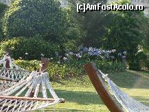 [P19]  -- <small>// FĂRĂ DESCRIERE</small> » foto by dimalexia
 - 
<span class="allrVoted glyphicon glyphicon-heart hidden" id="av94802"></span>
<a class="m-l-10 hidden" id="sv94802" onclick="voting_Foto_DelVot(,94802,171)" role="button">șterge vot <span class="glyphicon glyphicon-remove"></span></a>
<a id="v994802" class=" c-red"  onclick="voting_Foto_SetVot(94802)" role="button"><span class="glyphicon glyphicon-heart-empty"></span> <b>LIKE</b> = Votează poza</a> <img class="hidden"  id="f94802W9" src="/imagini/loader.gif" border="0" /><span class="AjErrMes hidden" id="e94802ErM"></span>