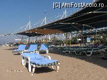 [P66]  -- <small>// FĂRĂ DESCRIERE</small> » foto by dimalexia
 - 
<span class="allrVoted glyphicon glyphicon-heart hidden" id="av94949"></span>
<a class="m-l-10 hidden" id="sv94949" onclick="voting_Foto_DelVot(,94949,171)" role="button">șterge vot <span class="glyphicon glyphicon-remove"></span></a>
<a id="v994949" class=" c-red"  onclick="voting_Foto_SetVot(94949)" role="button"><span class="glyphicon glyphicon-heart-empty"></span> <b>LIKE</b> = Votează poza</a> <img class="hidden"  id="f94949W9" src="/imagini/loader.gif" border="0" /><span class="AjErrMes hidden" id="e94949ErM"></span>