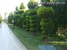 [P67] O alee splendida! » foto by dimalexia
 - 
<span class="allrVoted glyphicon glyphicon-heart hidden" id="av94950"></span>
<a class="m-l-10 hidden" id="sv94950" onclick="voting_Foto_DelVot(,94950,171)" role="button">șterge vot <span class="glyphicon glyphicon-remove"></span></a>
<a id="v994950" class=" c-red"  onclick="voting_Foto_SetVot(94950)" role="button"><span class="glyphicon glyphicon-heart-empty"></span> <b>LIKE</b> = Votează poza</a> <img class="hidden"  id="f94950W9" src="/imagini/loader.gif" border="0" /><span class="AjErrMes hidden" id="e94950ErM"></span>