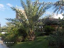 [P72]  -- <small>// FĂRĂ DESCRIERE</small> » foto by dimalexia
 - 
<span class="allrVoted glyphicon glyphicon-heart hidden" id="av94955"></span>
<a class="m-l-10 hidden" id="sv94955" onclick="voting_Foto_DelVot(,94955,171)" role="button">șterge vot <span class="glyphicon glyphicon-remove"></span></a>
<a id="v994955" class=" c-red"  onclick="voting_Foto_SetVot(94955)" role="button"><span class="glyphicon glyphicon-heart-empty"></span> <b>LIKE</b> = Votează poza</a> <img class="hidden"  id="f94955W9" src="/imagini/loader.gif" border="0" /><span class="AjErrMes hidden" id="e94955ErM"></span>