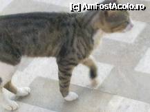 [P11]  -- <small>// FĂRĂ DESCRIERE</small> » foto by mar121_mar121*
 - 
<span class="allrVoted glyphicon glyphicon-heart hidden" id="av218361"></span>
<a class="m-l-10 hidden" id="sv218361" onclick="voting_Foto_DelVot(,218361,171)" role="button">șterge vot <span class="glyphicon glyphicon-remove"></span></a>
<a id="v9218361" class=" c-red"  onclick="voting_Foto_SetVot(218361)" role="button"><span class="glyphicon glyphicon-heart-empty"></span> <b>LIKE</b> = Votează poza</a> <img class="hidden"  id="f218361W9" src="/imagini/loader.gif" border="0" /><span class="AjErrMes hidden" id="e218361ErM"></span>