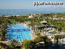 [P06]  -- <small>// FĂRĂ DESCRIERE</small> » foto by samalex
 - 
<span class="allrVoted glyphicon glyphicon-heart hidden" id="av87647"></span>
<a class="m-l-10 hidden" id="sv87647" onclick="voting_Foto_DelVot(,87647,171)" role="button">șterge vot <span class="glyphicon glyphicon-remove"></span></a>
<a id="v987647" class=" c-red"  onclick="voting_Foto_SetVot(87647)" role="button"><span class="glyphicon glyphicon-heart-empty"></span> <b>LIKE</b> = Votează poza</a> <img class="hidden"  id="f87647W9" src="/imagini/loader.gif" border="0" /><span class="AjErrMes hidden" id="e87647ErM"></span>