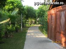 [P23]  -- <small>// FĂRĂ DESCRIERE</small> » foto by mariusică
 - 
<span class="allrVoted glyphicon glyphicon-heart hidden" id="av118344"></span>
<a class="m-l-10 hidden" id="sv118344" onclick="voting_Foto_DelVot(,118344,177)" role="button">șterge vot <span class="glyphicon glyphicon-remove"></span></a>
<a id="v9118344" class=" c-red"  onclick="voting_Foto_SetVot(118344)" role="button"><span class="glyphicon glyphicon-heart-empty"></span> <b>LIKE</b> = Votează poza</a> <img class="hidden"  id="f118344W9" src="/imagini/loader.gif" border="0" /><span class="AjErrMes hidden" id="e118344ErM"></span>