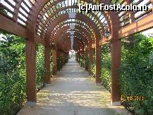 [P24]  -- <small>// FĂRĂ DESCRIERE</small> » foto by mariusică
 - 
<span class="allrVoted glyphicon glyphicon-heart hidden" id="av118345"></span>
<a class="m-l-10 hidden" id="sv118345" onclick="voting_Foto_DelVot(,118345,177)" role="button">șterge vot <span class="glyphicon glyphicon-remove"></span></a>
<a id="v9118345" class=" c-red"  onclick="voting_Foto_SetVot(118345)" role="button"><span class="glyphicon glyphicon-heart-empty"></span> <b>LIKE</b> = Votează poza</a> <img class="hidden"  id="f118345W9" src="/imagini/loader.gif" border="0" /><span class="AjErrMes hidden" id="e118345ErM"></span>