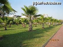 [P27]  -- <small>// FĂRĂ DESCRIERE</small> » foto by mariusică
 - 
<span class="allrVoted glyphicon glyphicon-heart hidden" id="av118348"></span>
<a class="m-l-10 hidden" id="sv118348" onclick="voting_Foto_DelVot(,118348,177)" role="button">șterge vot <span class="glyphicon glyphicon-remove"></span></a>
<a id="v9118348" class=" c-red"  onclick="voting_Foto_SetVot(118348)" role="button"><span class="glyphicon glyphicon-heart-empty"></span> <b>LIKE</b> = Votează poza</a> <img class="hidden"  id="f118348W9" src="/imagini/loader.gif" border="0" /><span class="AjErrMes hidden" id="e118348ErM"></span>