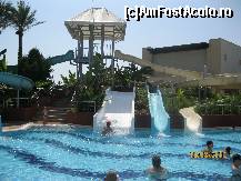 [P29]  -- <small>// FĂRĂ DESCRIERE</small> » foto by mariusică
 - 
<span class="allrVoted glyphicon glyphicon-heart hidden" id="av118350"></span>
<a class="m-l-10 hidden" id="sv118350" onclick="voting_Foto_DelVot(,118350,177)" role="button">șterge vot <span class="glyphicon glyphicon-remove"></span></a>
<a id="v9118350" class=" c-red"  onclick="voting_Foto_SetVot(118350)" role="button"><span class="glyphicon glyphicon-heart-empty"></span> <b>LIKE</b> = Votează poza</a> <img class="hidden"  id="f118350W9" src="/imagini/loader.gif" border="0" /><span class="AjErrMes hidden" id="e118350ErM"></span>