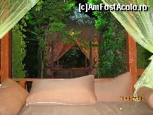 [P33]  -- <small>// FĂRĂ DESCRIERE</small> » foto by mariusică
 - 
<span class="allrVoted glyphicon glyphicon-heart hidden" id="av118354"></span>
<a class="m-l-10 hidden" id="sv118354" onclick="voting_Foto_DelVot(,118354,177)" role="button">șterge vot <span class="glyphicon glyphicon-remove"></span></a>
<a id="v9118354" class=" c-red"  onclick="voting_Foto_SetVot(118354)" role="button"><span class="glyphicon glyphicon-heart-empty"></span> <b>LIKE</b> = Votează poza</a> <img class="hidden"  id="f118354W9" src="/imagini/loader.gif" border="0" /><span class="AjErrMes hidden" id="e118354ErM"></span>