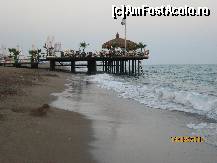 [P09]  -- <small>// FĂRĂ DESCRIERE</small> » foto by mariusică
 - 
<span class="allrVoted glyphicon glyphicon-heart hidden" id="av118330"></span>
<a class="m-l-10 hidden" id="sv118330" onclick="voting_Foto_DelVot(,118330,177)" role="button">șterge vot <span class="glyphicon glyphicon-remove"></span></a>
<a id="v9118330" class=" c-red"  onclick="voting_Foto_SetVot(118330)" role="button"><span class="glyphicon glyphicon-heart-empty"></span> <b>LIKE</b> = Votează poza</a> <img class="hidden"  id="f118330W9" src="/imagini/loader.gif" border="0" /><span class="AjErrMes hidden" id="e118330ErM"></span>