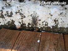 [P03] vecinii de pe ponton :) » foto by dangoga
 - 
<span class="allrVoted glyphicon glyphicon-heart hidden" id="av9378"></span>
<a class="m-l-10 hidden" id="sv9378" onclick="voting_Foto_DelVot(,9378,224)" role="button">șterge vot <span class="glyphicon glyphicon-remove"></span></a>
<a id="v99378" class=" c-red"  onclick="voting_Foto_SetVot(9378)" role="button"><span class="glyphicon glyphicon-heart-empty"></span> <b>LIKE</b> = Votează poza</a> <img class="hidden"  id="f9378W9" src="/imagini/loader.gif" border="0" /><span class="AjErrMes hidden" id="e9378ErM"></span>