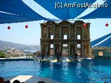 [P06] La delfinariu! » foto by nicol popescu
 - 
<span class="allrVoted glyphicon glyphicon-heart hidden" id="av13021"></span>
<a class="m-l-10 hidden" id="sv13021" onclick="voting_Foto_DelVot(,13021,224)" role="button">șterge vot <span class="glyphicon glyphicon-remove"></span></a>
<a id="v913021" class=" c-red"  onclick="voting_Foto_SetVot(13021)" role="button"><span class="glyphicon glyphicon-heart-empty"></span> <b>LIKE</b> = Votează poza</a> <img class="hidden"  id="f13021W9" src="/imagini/loader.gif" border="0" /><span class="AjErrMes hidden" id="e13021ErM"></span>