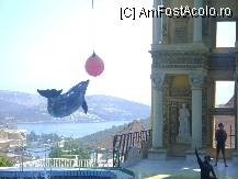 [P08] spectacol cu delfini! » foto by nicol popescu
 - 
<span class="allrVoted glyphicon glyphicon-heart hidden" id="av13023"></span>
<a class="m-l-10 hidden" id="sv13023" onclick="voting_Foto_DelVot(,13023,224)" role="button">șterge vot <span class="glyphicon glyphicon-remove"></span></a>
<a id="v913023" class=" c-red"  onclick="voting_Foto_SetVot(13023)" role="button"><span class="glyphicon glyphicon-heart-empty"></span> <b>LIKE</b> = Votează poza</a> <img class="hidden"  id="f13023W9" src="/imagini/loader.gif" border="0" /><span class="AjErrMes hidden" id="e13023ErM"></span>