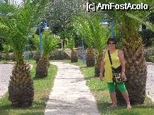 [P07] gradina superba a hotelului » foto by pielevasil
 - 
<span class="allrVoted glyphicon glyphicon-heart hidden" id="av58174"></span>
<a class="m-l-10 hidden" id="sv58174" onclick="voting_Foto_DelVot(,58174,224)" role="button">șterge vot <span class="glyphicon glyphicon-remove"></span></a>
<a id="v958174" class=" c-red"  onclick="voting_Foto_SetVot(58174)" role="button"><span class="glyphicon glyphicon-heart-empty"></span> <b>LIKE</b> = Votează poza</a> <img class="hidden"  id="f58174W9" src="/imagini/loader.gif" border="0" /><span class="AjErrMes hidden" id="e58174ErM"></span>