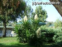 [P14] Hotel Surmeli Efes - flori in gradina hotelului » foto by biancuta
 - 
<span class="allrVoted glyphicon glyphicon-heart hidden" id="av89031"></span>
<a class="m-l-10 hidden" id="sv89031" onclick="voting_Foto_DelVot(,89031,226)" role="button">șterge vot <span class="glyphicon glyphicon-remove"></span></a>
<a id="v989031" class=" c-red"  onclick="voting_Foto_SetVot(89031)" role="button"><span class="glyphicon glyphicon-heart-empty"></span> <b>LIKE</b> = Votează poza</a> <img class="hidden"  id="f89031W9" src="/imagini/loader.gif" border="0" /><span class="AjErrMes hidden" id="e89031ErM"></span>