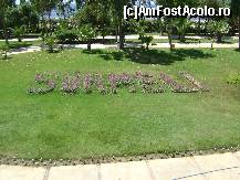 [P31] Hotel Surmeli Efes - numele hotelului din flori » foto by biancuta
 - 
<span class="allrVoted glyphicon glyphicon-heart hidden" id="av89049"></span>
<a class="m-l-10 hidden" id="sv89049" onclick="voting_Foto_DelVot(,89049,226)" role="button">șterge vot <span class="glyphicon glyphicon-remove"></span></a>
<a id="v989049" class=" c-red"  onclick="voting_Foto_SetVot(89049)" role="button"><span class="glyphicon glyphicon-heart-empty"></span> <b>LIKE</b> = Votează poza</a> <img class="hidden"  id="f89049W9" src="/imagini/loader.gif" border="0" /><span class="AjErrMes hidden" id="e89049ErM"></span>