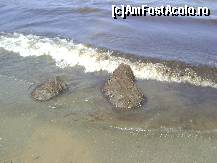 [P44] Hotel Surmeli Efes - marea, si gramezile de ierburi   marine care au aparut intr-o dimineata » foto by biancuta
 - 
<span class="allrVoted glyphicon glyphicon-heart hidden" id="av89063"></span>
<a class="m-l-10 hidden" id="sv89063" onclick="voting_Foto_DelVot(,89063,226)" role="button">șterge vot <span class="glyphicon glyphicon-remove"></span></a>
<a id="v989063" class=" c-red"  onclick="voting_Foto_SetVot(89063)" role="button"><span class="glyphicon glyphicon-heart-empty"></span> <b>LIKE</b> = Votează poza</a> <img class="hidden"  id="f89063W9" src="/imagini/loader.gif" border="0" /><span class="AjErrMes hidden" id="e89063ErM"></span>