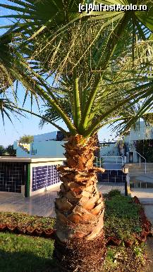 [P23]  -- <small>// FĂRĂ DESCRIERE</small> » foto by corinamaria
 - 
<span class="allrVoted glyphicon glyphicon-heart hidden" id="av130222"></span>
<a class="m-l-10 hidden" id="sv130222" onclick="voting_Foto_DelVot(,130222,226)" role="button">șterge vot <span class="glyphicon glyphicon-remove"></span></a>
<a id="v9130222" class=" c-red"  onclick="voting_Foto_SetVot(130222)" role="button"><span class="glyphicon glyphicon-heart-empty"></span> <b>LIKE</b> = Votează poza</a> <img class="hidden"  id="f130222W9" src="/imagini/loader.gif" border="0" /><span class="AjErrMes hidden" id="e130222ErM"></span>