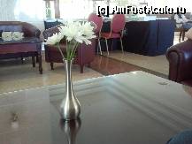 [P05]  -- <small>// FĂRĂ DESCRIERE</small> » foto by ema.1
 - 
<span class="allrVoted glyphicon glyphicon-heart hidden" id="av316582"></span>
<a class="m-l-10 hidden" id="sv316582" onclick="voting_Foto_DelVot(,316582,349)" role="button">șterge vot <span class="glyphicon glyphicon-remove"></span></a>
<a id="v9316582" class=" c-red"  onclick="voting_Foto_SetVot(316582)" role="button"><span class="glyphicon glyphicon-heart-empty"></span> <b>LIKE</b> = Votează poza</a> <img class="hidden"  id="f316582W9" src="/imagini/loader.gif" border="0" /><span class="AjErrMes hidden" id="e316582ErM"></span>