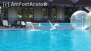 [P08] Musafir binevenit » foto by georgeroiu
 - 
<span class="allrVoted glyphicon glyphicon-heart hidden" id="av1176864"></span>
<a class="m-l-10 hidden" id="sv1176864" onclick="voting_Foto_DelVot(,1176864,349)" role="button">șterge vot <span class="glyphicon glyphicon-remove"></span></a>
<a id="v91176864" class=" c-red"  onclick="voting_Foto_SetVot(1176864)" role="button"><span class="glyphicon glyphicon-heart-empty"></span> <b>LIKE</b> = Votează poza</a> <img class="hidden"  id="f1176864W9" src="/imagini/loader.gif" border="0" /><span class="AjErrMes hidden" id="e1176864ErM"></span>