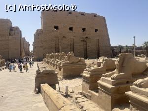 [P06] Karnak » foto by Yersinia Pestis
 - 
<span class="allrVoted glyphicon glyphicon-heart hidden" id="av1486111"></span>
<a class="m-l-10 hidden" id="sv1486111" onclick="voting_Foto_DelVot(,1486111,351)" role="button">șterge vot <span class="glyphicon glyphicon-remove"></span></a>
<a id="v91486111" class=" c-red"  onclick="voting_Foto_SetVot(1486111)" role="button"><span class="glyphicon glyphicon-heart-empty"></span> <b>LIKE</b> = Votează poza</a> <img class="hidden"  id="f1486111W9" src="/imagini/loader.gif" border="0" /><span class="AjErrMes hidden" id="e1486111ErM"></span>