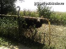 [P11] Cred ca a ratacit drumul.Nu a fost Australia..ci e Turcia » foto by camila1968
 - 
<span class="allrVoted glyphicon glyphicon-heart hidden" id="av95455"></span>
<a class="m-l-10 hidden" id="sv95455" onclick="voting_Foto_DelVot(,95455,366)" role="button">șterge vot <span class="glyphicon glyphicon-remove"></span></a>
<a id="v995455" class=" c-red"  onclick="voting_Foto_SetVot(95455)" role="button"><span class="glyphicon glyphicon-heart-empty"></span> <b>LIKE</b> = Votează poza</a> <img class="hidden"  id="f95455W9" src="/imagini/loader.gif" border="0" /><span class="AjErrMes hidden" id="e95455ErM"></span>