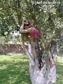 [P08] vegetatia este foarte luxurianta,desi in Kusadasi nu a plouat de..20 ani. » foto by camila1968
 - 
<span class="allrVoted glyphicon glyphicon-heart hidden" id="av95451"></span>
<a class="m-l-10 hidden" id="sv95451" onclick="voting_Foto_DelVot(,95451,366)" role="button">șterge vot <span class="glyphicon glyphicon-remove"></span></a>
<a id="v995451" class=" c-red"  onclick="voting_Foto_SetVot(95451)" role="button"><span class="glyphicon glyphicon-heart-empty"></span> <b>LIKE</b> = Votează poza</a> <img class="hidden"  id="f95451W9" src="/imagini/loader.gif" border="0" /><span class="AjErrMes hidden" id="e95451ErM"></span>