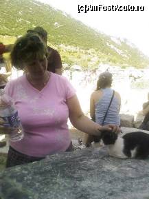 [P09] Pisica de Efes,face parte din decor.Nu o atingeti..se sperie si fuge! Dar putina apa...trebuie sa-i pui. » foto by camila1968
 - 
<span class="allrVoted glyphicon glyphicon-heart hidden" id="av95453"></span>
<a class="m-l-10 hidden" id="sv95453" onclick="voting_Foto_DelVot(,95453,366)" role="button">șterge vot <span class="glyphicon glyphicon-remove"></span></a>
<a id="v995453" class=" c-red"  onclick="voting_Foto_SetVot(95453)" role="button"><span class="glyphicon glyphicon-heart-empty"></span> <b>LIKE</b> = Votează poza</a> <img class="hidden"  id="f95453W9" src="/imagini/loader.gif" border="0" /><span class="AjErrMes hidden" id="e95453ErM"></span>