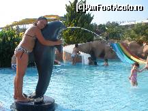 [P34] Dragoste la prima vedere! » foto by clayton
 - 
<span class="allrVoted glyphicon glyphicon-heart hidden" id="av117268"></span>
<a class="m-l-10 hidden" id="sv117268" onclick="voting_Foto_DelVot(,117268,366)" role="button">șterge vot <span class="glyphicon glyphicon-remove"></span></a>
<a id="v9117268" class=" c-red"  onclick="voting_Foto_SetVot(117268)" role="button"><span class="glyphicon glyphicon-heart-empty"></span> <b>LIKE</b> = Votează poza</a> <img class="hidden"  id="f117268W9" src="/imagini/loader.gif" border="0" /><span class="AjErrMes hidden" id="e117268ErM"></span>