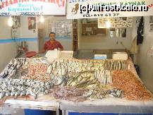 [P50] Piata de peste din port! Ce de bunatati! » foto by clayton
 - 
<span class="allrVoted glyphicon glyphicon-heart hidden" id="av117291"></span>
<a class="m-l-10 hidden" id="sv117291" onclick="voting_Foto_DelVot(,117291,366)" role="button">șterge vot <span class="glyphicon glyphicon-remove"></span></a>
<a id="v9117291" class=" c-red"  onclick="voting_Foto_SetVot(117291)" role="button"><span class="glyphicon glyphicon-heart-empty"></span> <b>LIKE</b> = Votează poza</a> <img class="hidden"  id="f117291W9" src="/imagini/loader.gif" border="0" /><span class="AjErrMes hidden" id="e117291ErM"></span>