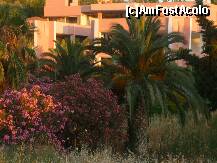 [P19] vegetatia mediteraneana  te insoteste de-a lungul drumului care duce spre centru. » foto by lalita21
 - 
<span class="allrVoted glyphicon glyphicon-heart hidden" id="av180126"></span>
<a class="m-l-10 hidden" id="sv180126" onclick="voting_Foto_DelVot(,180126,366)" role="button">șterge vot <span class="glyphicon glyphicon-remove"></span></a>
<a id="v9180126" class=" c-red"  onclick="voting_Foto_SetVot(180126)" role="button"><span class="glyphicon glyphicon-heart-empty"></span> <b>LIKE</b> = Votează poza</a> <img class="hidden"  id="f180126W9" src="/imagini/loader.gif" border="0" /><span class="AjErrMes hidden" id="e180126ErM"></span>