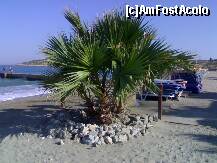 [P07] asta ca sa nu uitam in ce tara sintem la plaja.. » foto by lalita21
 - 
<span class="allrVoted glyphicon glyphicon-heart hidden" id="av180102"></span>
<a class="m-l-10 hidden" id="sv180102" onclick="voting_Foto_DelVot(,180102,366)" role="button">șterge vot <span class="glyphicon glyphicon-remove"></span></a>
<a id="v9180102" class=" c-red"  onclick="voting_Foto_SetVot(180102)" role="button"><span class="glyphicon glyphicon-heart-empty"></span> <b>LIKE</b> = Votează poza</a> <img class="hidden"  id="f180102W9" src="/imagini/loader.gif" border="0" /><span class="AjErrMes hidden" id="e180102ErM"></span>