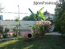 [P08] teren de tenis » foto by brindusa
 - 
<span class="allrVoted glyphicon glyphicon-heart hidden" id="av18271"></span>
<a class="m-l-10 hidden" id="sv18271" onclick="voting_Foto_DelVot(,18271,366)" role="button">șterge vot <span class="glyphicon glyphicon-remove"></span></a>
<a id="v918271" class=" c-red"  onclick="voting_Foto_SetVot(18271)" role="button"><span class="glyphicon glyphicon-heart-empty"></span> <b>LIKE</b> = Votează poza</a> <img class="hidden"  id="f18271W9" src="/imagini/loader.gif" border="0" /><span class="AjErrMes hidden" id="e18271ErM"></span>