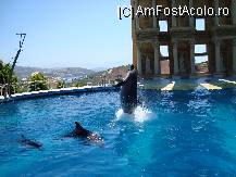 [P07] foarte talentati » foto by dienutza
 - 
<span class="allrVoted glyphicon glyphicon-heart hidden" id="av13338"></span>
<a class="m-l-10 hidden" id="sv13338" onclick="voting_Foto_DelVot(,13338,366)" role="button">șterge vot <span class="glyphicon glyphicon-remove"></span></a>
<a id="v913338" class=" c-red"  onclick="voting_Foto_SetVot(13338)" role="button"><span class="glyphicon glyphicon-heart-empty"></span> <b>LIKE</b> = Votează poza</a> <img class="hidden"  id="f13338W9" src="/imagini/loader.gif" border="0" /><span class="AjErrMes hidden" id="e13338ErM"></span>