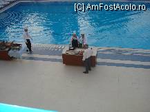 [P01]  -- <small>// FĂRĂ DESCRIERE</small> » foto by mihai84
 - 
<span class="allrVoted glyphicon glyphicon-heart hidden" id="av80657"></span>
<a class="m-l-10 hidden" id="sv80657" onclick="voting_Foto_DelVot(,80657,366)" role="button">șterge vot <span class="glyphicon glyphicon-remove"></span></a>
<a id="v980657" class=" c-red"  onclick="voting_Foto_SetVot(80657)" role="button"><span class="glyphicon glyphicon-heart-empty"></span> <b>LIKE</b> = Votează poza</a> <img class="hidden"  id="f80657W9" src="/imagini/loader.gif" border="0" /><span class="AjErrMes hidden" id="e80657ErM"></span>