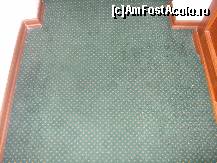 [P138] Mocheta...verde ! » foto by bigu_2006_rapid
 - 
<span class="allrVoted glyphicon glyphicon-heart hidden" id="av135402"></span>
<a class="m-l-10 hidden" id="sv135402" onclick="voting_Foto_DelVot(,135402,366)" role="button">șterge vot <span class="glyphicon glyphicon-remove"></span></a>
<a id="v9135402" class=" c-red"  onclick="voting_Foto_SetVot(135402)" role="button"><span class="glyphicon glyphicon-heart-empty"></span> <b>LIKE</b> = Votează poza</a> <img class="hidden"  id="f135402W9" src="/imagini/loader.gif" border="0" /><span class="AjErrMes hidden" id="e135402ErM"></span>